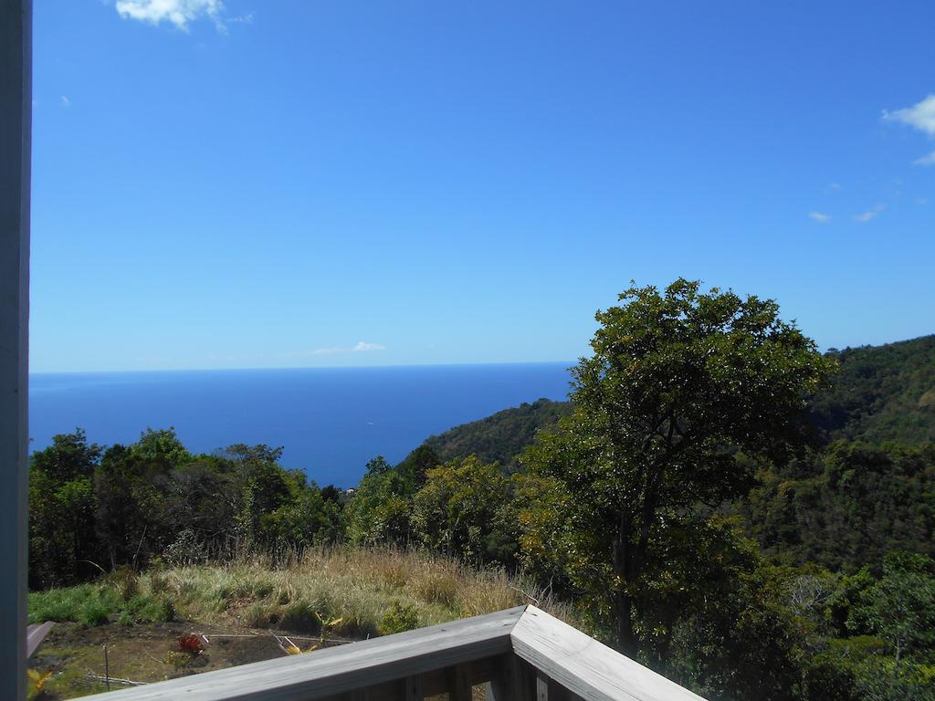 Diamond View Cottages Roseau Habitación foto